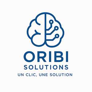 Oribi Solutions, un dépanneur informatique à Epinal