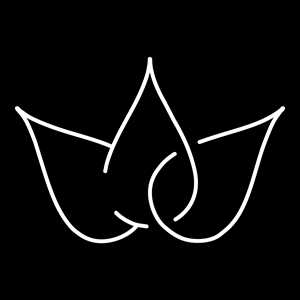 Nicolas Rivière Maintenance WordPress, un expert en dépannage à Bayonne