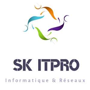 SK ITPRO, un professionnel du digital à Bar-sur-Aube