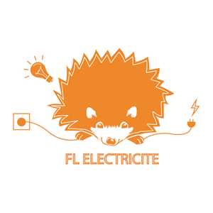 FL électricité, un professionnel du digital à Senlis